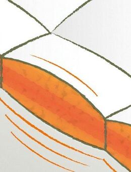 fjödur Federbettdecke Fabiennes Supreme, Bettdecken für Sommer oder Winter, Decke, Füllung: 70% Federn, 30% Daunen, Bezug: 100% Baumwolle, Bettdecke 135x200 cm, allergiker geeignet (für Hausstauballergiker)