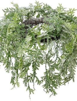 Creativ green Dekokranz Weihnachtsdeko, mit gefrosteter Optik, Maße aufgehängter Kranz: Ø 30 cm, H. 38 cm