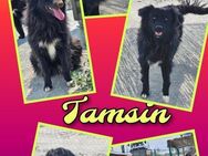 Hübsche Tamsin wartet schon so lange! - Nürnberg