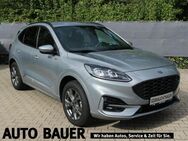 Ford Kuga ST-Line X Hybrid 2.5 Duratec Klima Navi - Marktheidenfeld