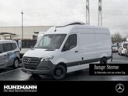 Mercedes Sprinter, 317 Kühlkasten Kerstner St, Jahr 2023 - Stockstadt (Main)