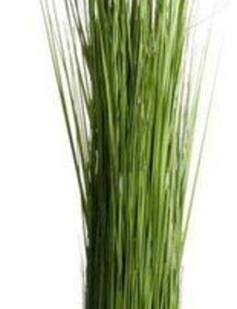 Kunstgras Grasarrangement selbststehend Gras, Botanic-Haus, Höhe 120 cm