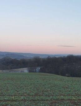 Landwirtschaftlicher Betrieb mit 45 Hektar Land bei Göttingen! - Rüdershausen