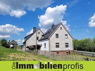 1332 - Schnäppchen: 2 Häuser mit Garten am Döbraberg - Schwarzenbach (Wald)