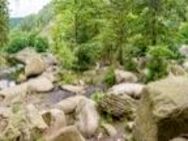 Wanderbegleitung für den Harz! ZB. Hexenstieg (von privat) - Braunschweig
