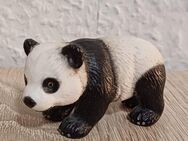 Schleich Pandabär - Löbau