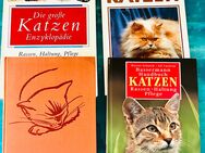 Buch Set Katzen 4 Stück - Dorfen