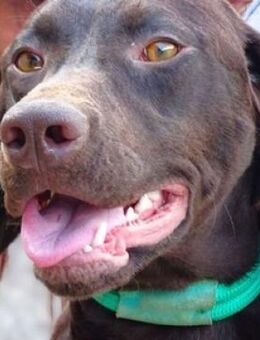 OTTO sucht seine Menschen - Gefrees