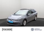 VW Golf Variant, 1.5 VIII eTSI Life, Jahr 2023 - Apolda