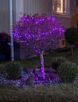 KONSTSMIDE LED-Lichterkette Weihnachtsdeko aussen, 80-flammig, LED Globelichterkette, runde Dioden, mit rot/blau Farbwechsel
