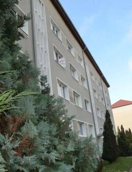 Ihr neues Zuhause am Geiseltalsee - Gern auch als Zweitwohnung !!! - Mücheln (Geiseltal)