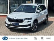 Skoda Karoq, 2.0 TDI Selection, Jahr 2024 - Teterow