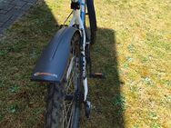 Buls-Wildtail - Damen - Rad Selten gefahren - Aichach
