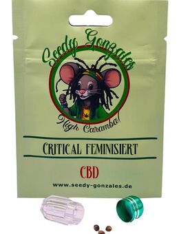 Critical CBD Samen 3 Stück - Sinzig