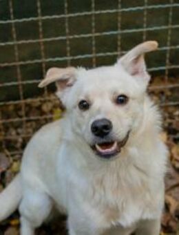 FENIX - wer will Spaß mit mir erleben - Overath