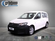 VW Caddy, 2.0 TDI, Jahr 2021 - Brandis