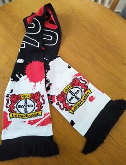 Fanschal Bayer 04 - Berlin