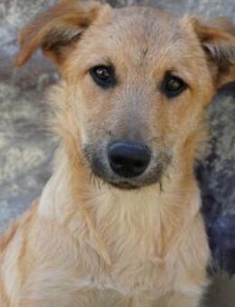 Menschenbezogener, lieber Garry - Kallmünz