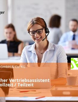 Telefonischer Vertriebsassistent (m/w/d) Vollzeit / Teilzeit - Hamburg