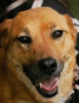 Mit Menschen ist KORINE toll ♥️ - München