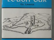 Illustrated Guide to Logh Gur (1981) - Münster