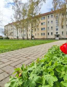Bald in die neue Traumwohnung einziehen. - Magdeburg