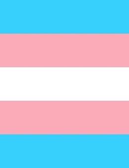 suche TS (MtF) für Beziehung - Saarbrücken