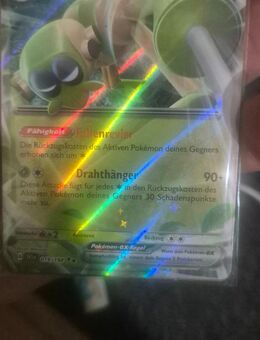 Pokemon - Arnsberg