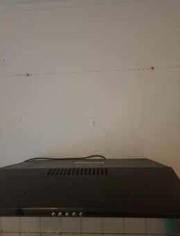 Dunstabzughaube - Ludwigshafen (Rhein)