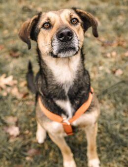 Inoa ♥️ - Kallmünz