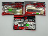 JACKSON ACTIVE SHAD & THE FISH 8cm & 15cm Softbait Gummifisch - Telgte