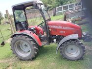 Verkaufe Kleintraktor Agrifarm 550 - Börde-Hakel