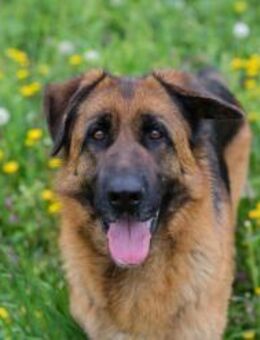 FLORA - gern gemeinsam unterwegs - Overath