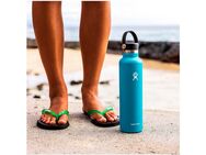 Hydro Flask Deckel Standard Flex Cap