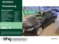 Skoda Octavia, 2.0 TDI Combi Ambition Octavia Combi, Jahr 2022 - Freudenstadt