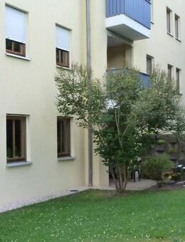 ++ ländliches nachhaltiges Investment ++ - Mohlsdorf-Teichwolframsdorf