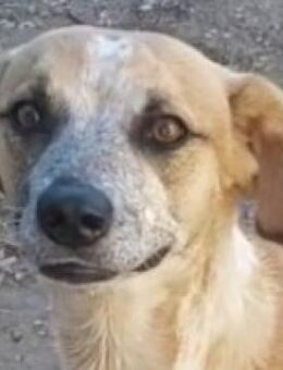 Mando - sportlich und clever - Mettmann