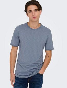 ONLY & SONS Rundhalsshirt ONSBENNE LONGY SS TEE NF 7822 NOOS