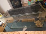 Nagarium kleintiere aquarium - Schellerten