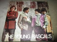 The Young Rascals - A Girl Like You (1967) Atlantic 7" Single (VG+/ NM) - Groß Gerau