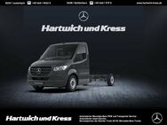 Mercedes Sprinter, 316 L3 Koffer LBW, Jahr 2021 - Lauterbach (Hessen)