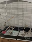 Großer Vogelkäfig mit Zubehör in 58636