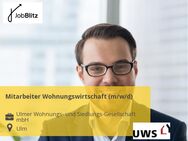 Mitarbeiter Wohnungswirtschaft (m/w/d) - Ulm