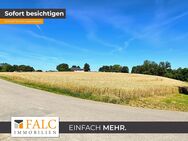 *BAU MICH* Der vielleicht beste Bauplatz! - Riesen Grundstück! - FALC Immobilien Heilbronn - Möckmühl