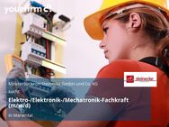 Elektro-/Elektronik-/Mechatronik-Fachkraft (m/w/d) - Mariental