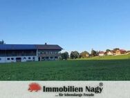 Immobilien-Nagy: Wohnen auf dem Bauernhof neuwertige 3 Zi. EG Wohnung - Wackersberg