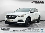 Opel Grandland X, 1.2 Business Mehrzonenklima, Jahr 2020 - Mönchengladbach