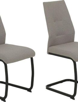 HELA Freischwinger Ariana, Esszimmerstuhl (Set, 2 St), Zertifizierter "Waterfree" Stoff - sehr Robust, 140 kg belastbar