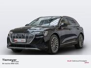 Audi e-tron 50 S LINE LM21 AHK STAND-KLIMA LEDER LED - Plettenberg