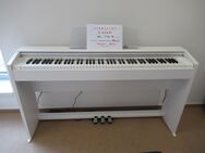 CASIO Digitalpiano/klavier PX-770 W und AP-470 B gebraucht ab - Nideggen